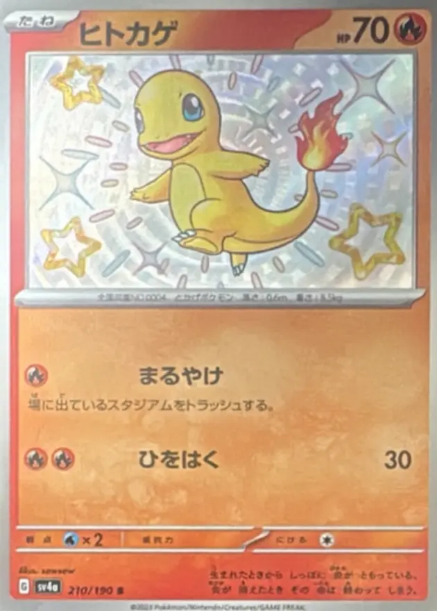 ヒトカゲS