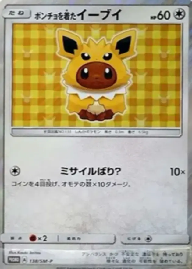 ポンチョを着たイーブイ(TD)