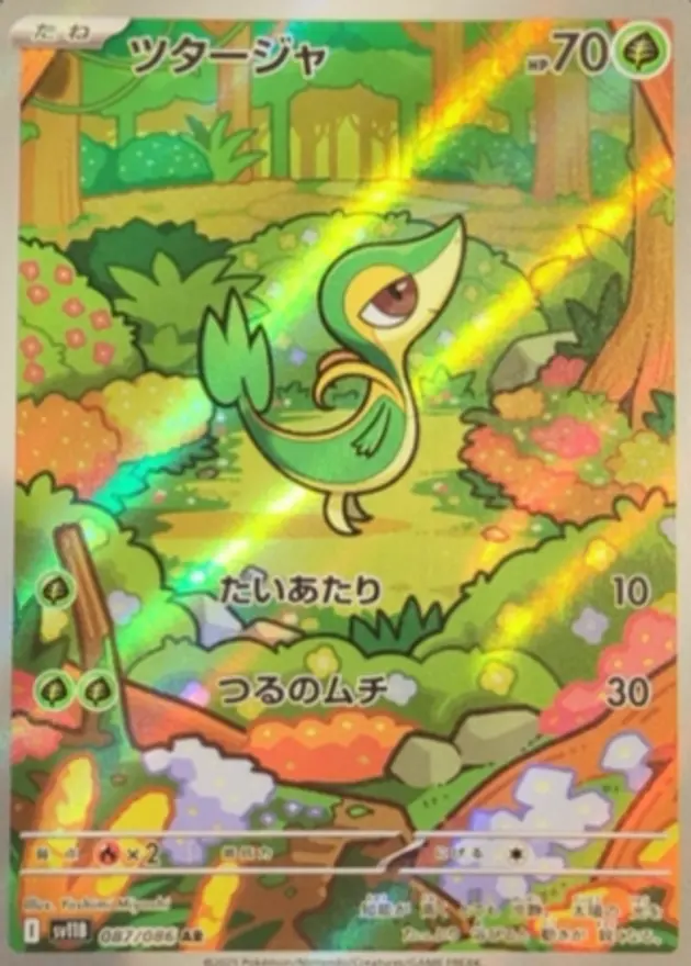 ツタージャ