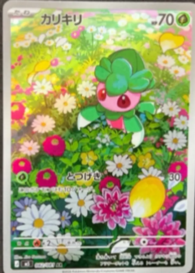 カリキリ