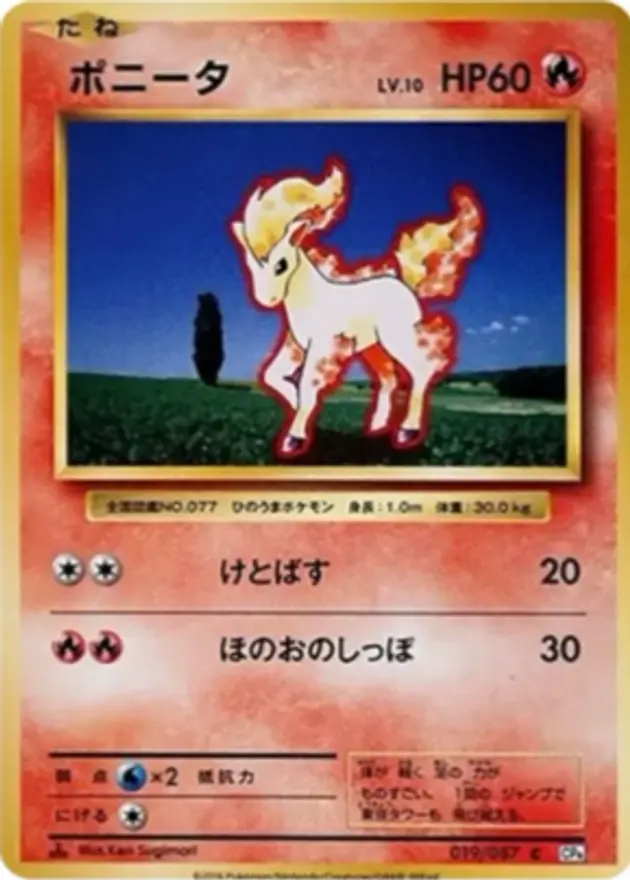 ポニータ C(20th)
